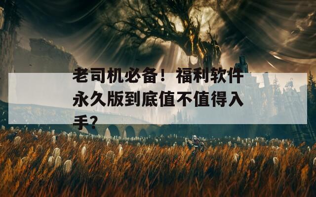 老司机必备！福利软件永久版到底值不值得入手？