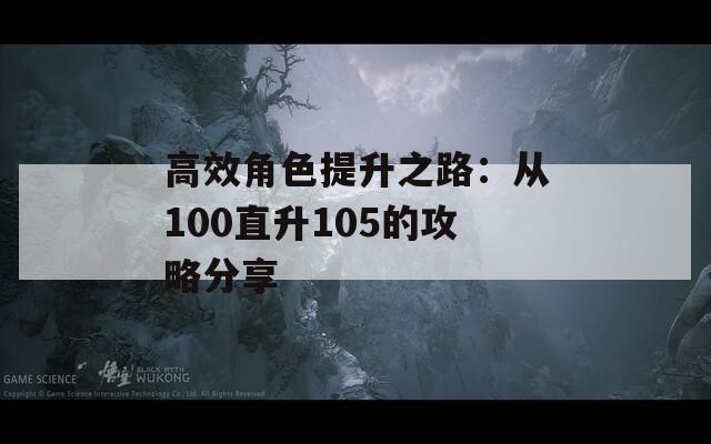 高效角色提升之路：从100直升105的攻略分享