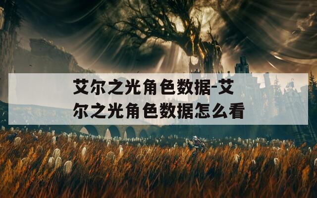 艾尔之光角色数据-艾尔之光角色数据怎么看