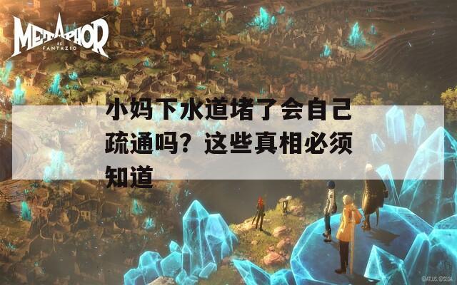 小妈下水道堵了会自己疏通吗？这些真相必须知道
