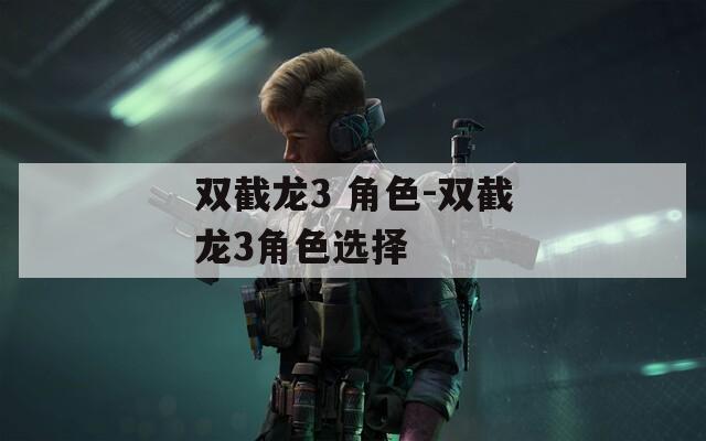 双截龙3 角色-双截龙3角色选择