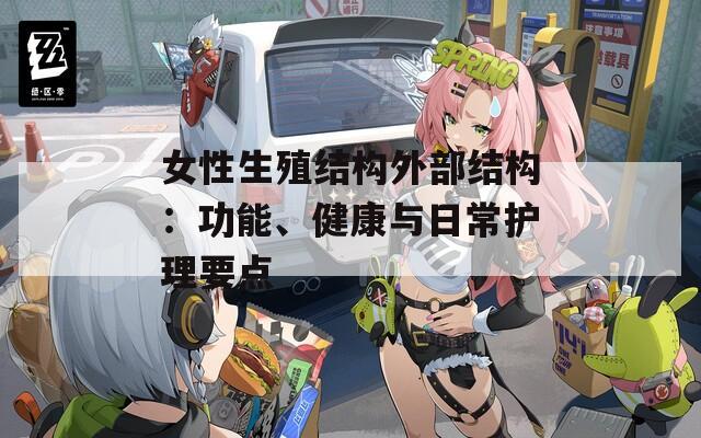 女性生殖结构外部结构：功能、健康与日常护理要点